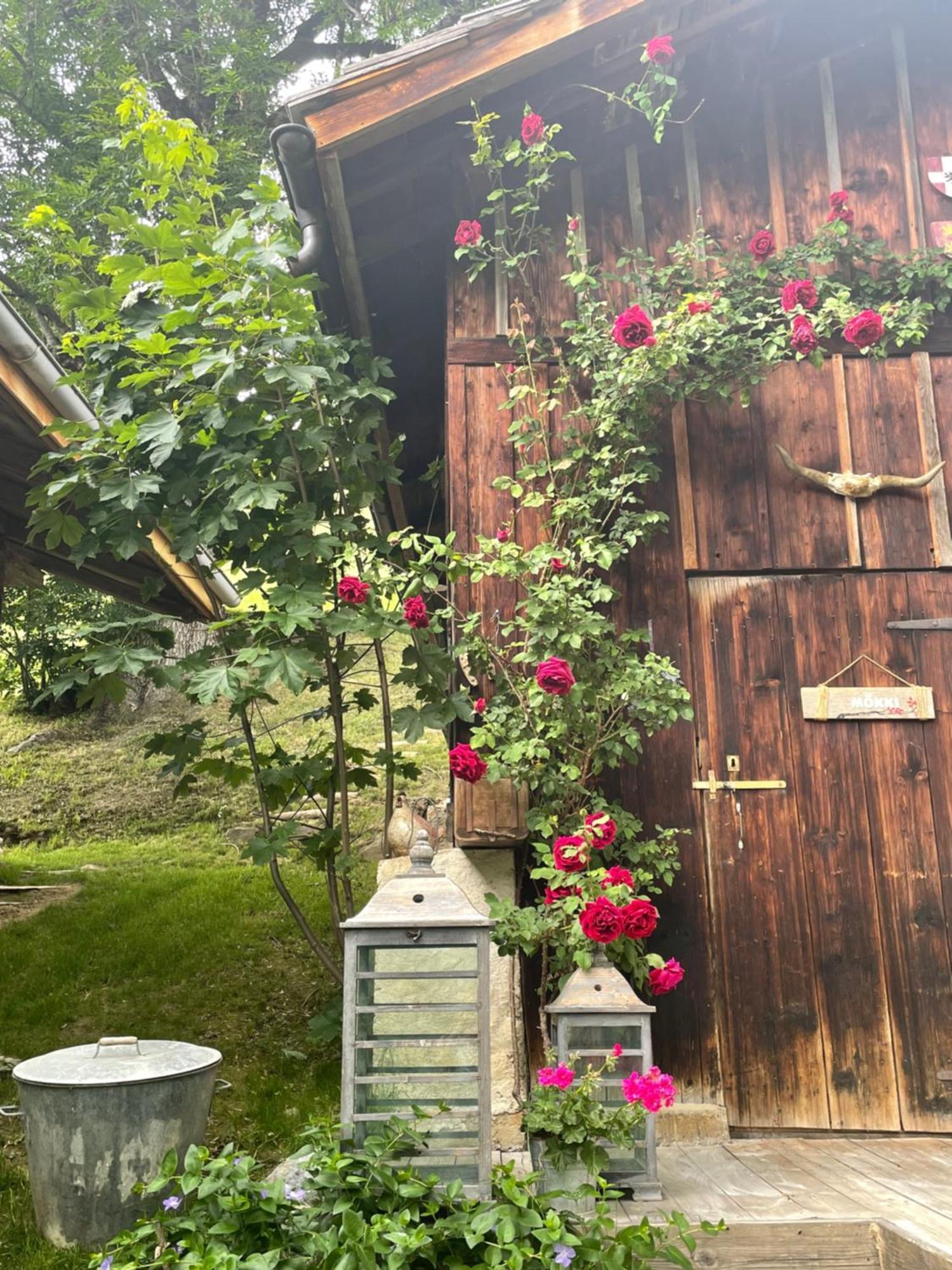 Bed and Breakfast Le Pika Hauteluce Exterior foto